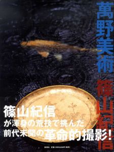 萬野美術/篠山紀信　萬野美術館監修のサムネール