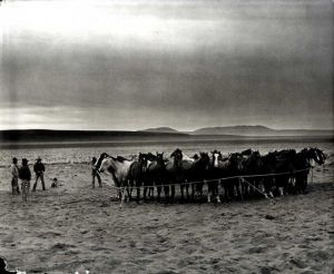 カート・マーカス写真集　After Barbed Wire: Cowboys of Our Time/Kurt Markus