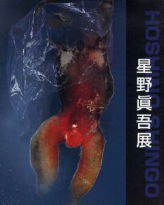 星野真吾展/