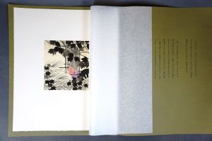 Natsume-Books Natsume-Books