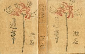 道草/夏目漱石
