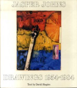 ジャスパー･ジョーンズ　Jasper Johns Drawings 1954-1984/David Shapiro