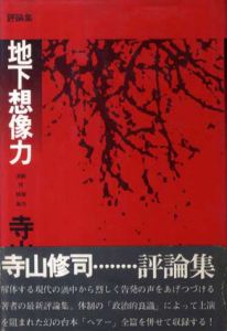 地下想像力　評論集/寺山修司のサムネール