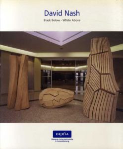 デイビッド・ナッシュ　David Nash: Black Below-White Above/