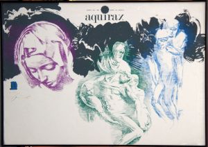 宇野亜喜良版画額「Aquirax」/