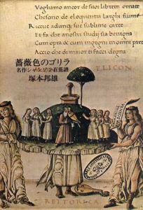 薔薇色のゴリラ　名作シャンソン百花譜/塚本邦雄