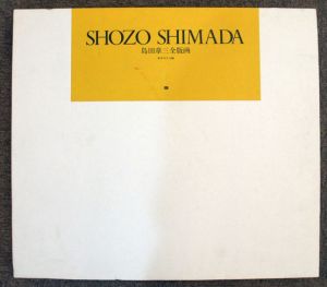 島田章三全版画/島田章三のサムネール