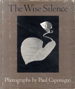 Paul Caponigro: The Wise Silence | ポール・カポニグロ