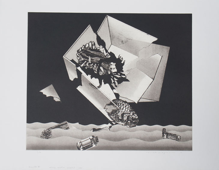 中林忠良版画「囚われる風景Ⅷ」 / Tadayoshi Nakabayashi