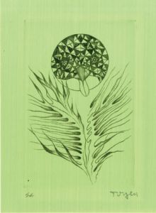 トワイヤン版画/Toyen