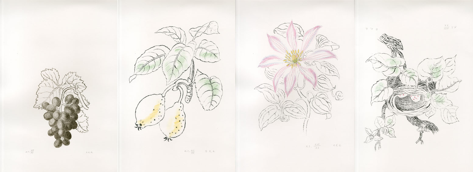 岡鹿之助版画集 7枚のリトグラフ / Shikanosuke Oka | Natsume Books