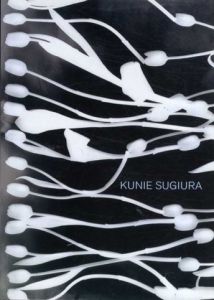 Kunie Sugiura Dark Matters/Light Affairs/Bill Arning/Joel Smith