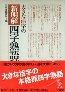 大きな活字の新明解四字熟語辞典/三省堂編