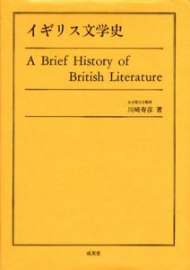 イギリス文学史/川崎寿彦