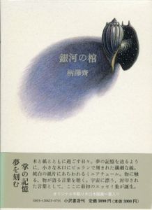 銀河の棺/柄沢斎