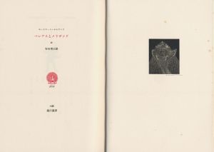 ペレアスとメリザンド/メーテルリンク　杉本秀太郎訳　柄澤斎画