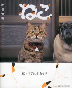 ねこ/岩合光昭