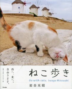ねこ歩き/岩合光昭