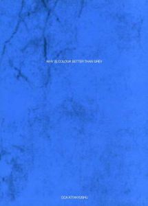 アンリ・サラ　なぜグレーよりカラーがいいのか　Anri Sala: Why is Colour Better Than Grey/アンリ・サラ