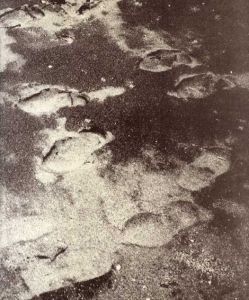 大久保英治　A Walking Man-Okubo/鍵岡正謹/建畠哲他