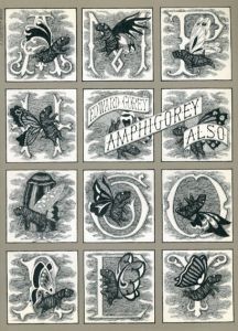 エドワード・ゴーリー　Amphigorey Also/Edward Gorey