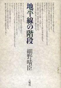 地平線の階段/細野晴臣