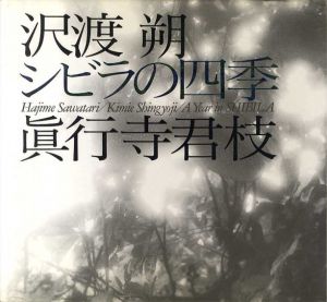 シビラの四季/真行寺君枝文　沢渡朔写真のサムネール