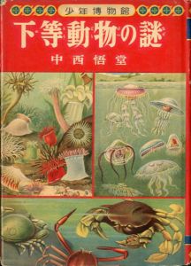下等動物の謎　少年博物館/中西悟堂