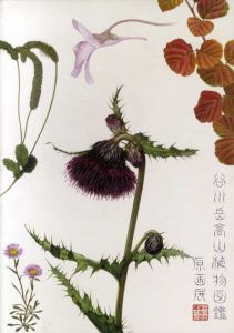 谷川岳高山植物図鑑　原画展/安部利夫