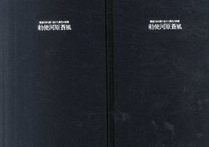 勅使河原蒼風　戦後日本を駆け抜けた異色の前衛　2冊組/世田谷美術館のサムネール