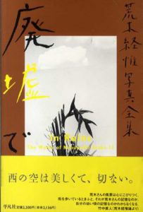 荒木経惟写真全集11　廃墟で/荒木経惟