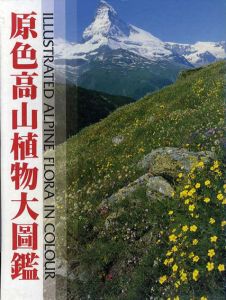 原色高山植物大図鑑/小野幹雄/林弥栄監修
