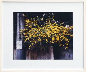 荒木経惟プリント額「墓地裏の花屋」/Nobuyoshi Arakiのサムネール