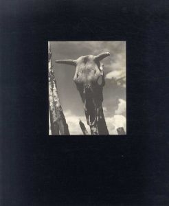 ジョージア・オキーフ Georgia O'Keeffe: The Artist's Landscape/Jack Woody編