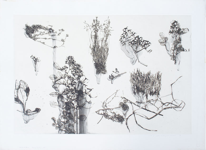 中林忠良　 　Position’９７ 腐蝕 Ⅰ 中林忠良 Position'97 腐蝕 Ⅰ （1F・2F)中林忠良 銅版画展