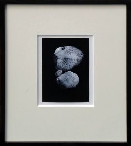 瀧口修造画額「デカルコマニー2」/Shuzo Takiguchiのサムネール