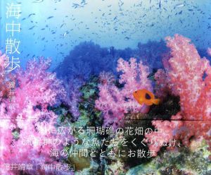 海中散歩/鍵井靖章