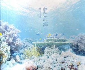 夢色の海/鍵井靖章