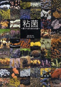 粘菌　驚くべき生命力の謎/松本淳/伊沢正名