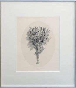 柄澤斎版画額「四奏3」/Hitoshi Karasawaのサムネール