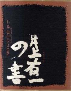 井上有一の書/海上正臣編のサムネール