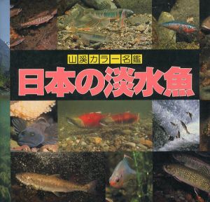 日本の淡水魚　山渓カラー名鑑/川那部浩哉/川那部浩哉/水野信彦編
