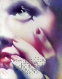 合田佐和子　影像　1958-2003　絵画・オブジェ・写真/