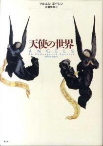 天使の世界　新装版/マルコム・ゴドウィン　大瀧啓裕訳