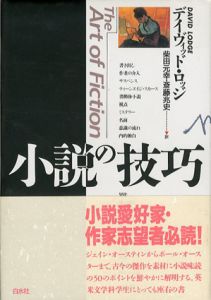 小説の技巧/デイヴィッド・ロッジ　柴田元/斎藤兆史訳