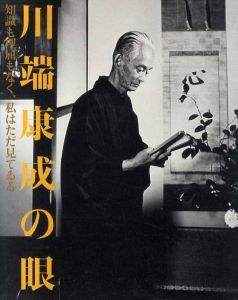 川端康成の眼　知識も理屈もなく、私はただ見てゐる/