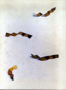 ヘルマン・グロックナー　Hermann Glockner: Raum, Zeit, Figur: Ein Dresdner Beitrag zur Moderne/Rudolf Mayer