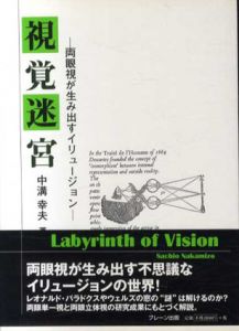 視覚迷宮　両眼視が生み出すイリュージョン/中溝幸夫