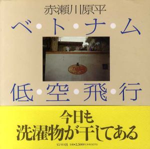 ベトナム低空飛行/赤瀬川原平