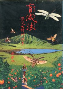 盲滅法　深沢七郎対談集/深沢七郎